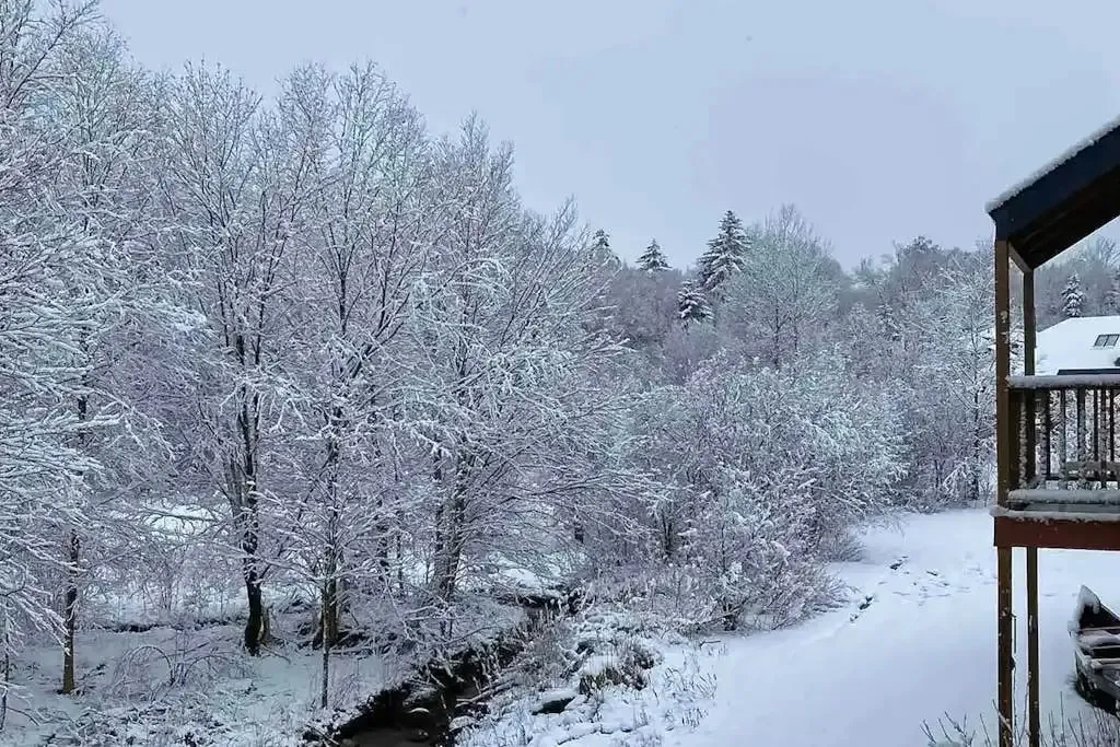 Snow-covered creek and trees seen from the balcony after a fresh snowfall